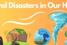 Deadliest Disasters of 20th and 21st Century